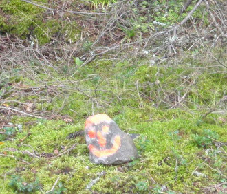 someone has marked a rock with a Happy Face.